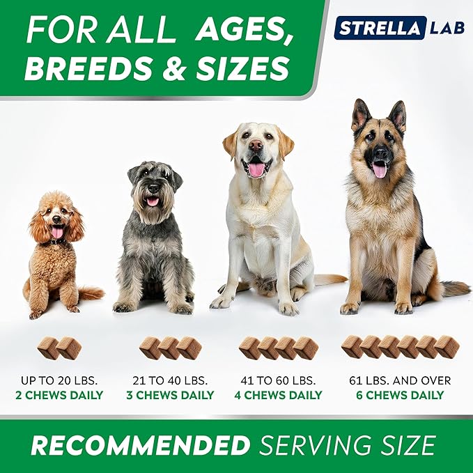 StrellaLab Dog Allergy Relief & Anti Itch Support Chews w/Omega 3: Real Ingredients, Real Taste! Skin & Coat Immune Supplement w/Fish Oil, Pumpkin & Enzymes — Developed by Experts - Made in USA -240Ct