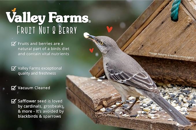 Valley Farms Fruit Nut & Berry Wild Bird Food for Outside Feeders, Bird Seed with Dried Fruit, Peanuts, Sunflower, and Safflower, High Energy Mix for Healthy Birds! (15 LBS)