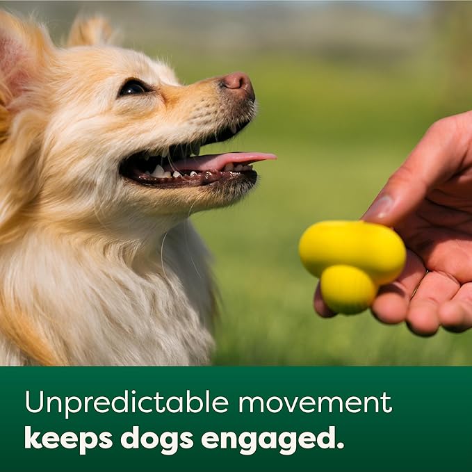 Earth Rated Dog Ball, Interactive Fetch Toy for All Breeds, Comes in Multiple Sizes, Made with Natural Rubber, Perfect for Indoor and Outdoor Use, Small, Yellow