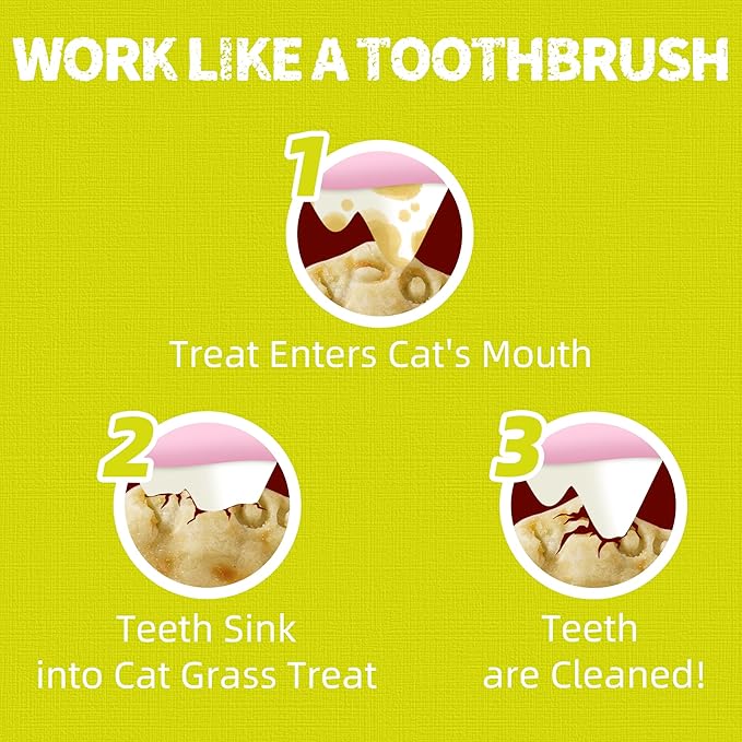 Just Try 13.4 OZ Cat Multivitamin Crunchy Chews Treats for Health and Immune Cat Joint Support Skin & Coat & Digestion Vitamins Supplements Biscuits Snacks