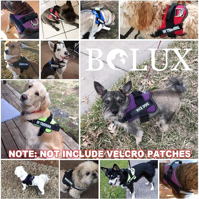 Bolux Dog Harness, No-Pull Reflective Dog Vest, Breathable Adjustable Pet Harness with Handle for Outdoor Walking - No More Pulling, Tugging or Choking (Turquoise, L)