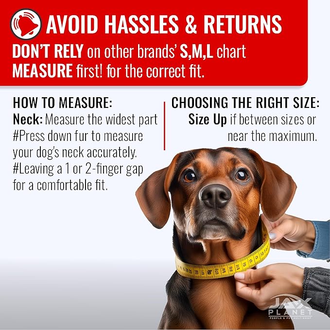 Orange Martingale Collar for Dogs - Heavy Duty Nylon Pet Collars for Escape-Free, No Pull Training & Walking with Alloy Metal Release Buckle & Reflective D Ring, One Time Adjustment, Safe & Secure, S