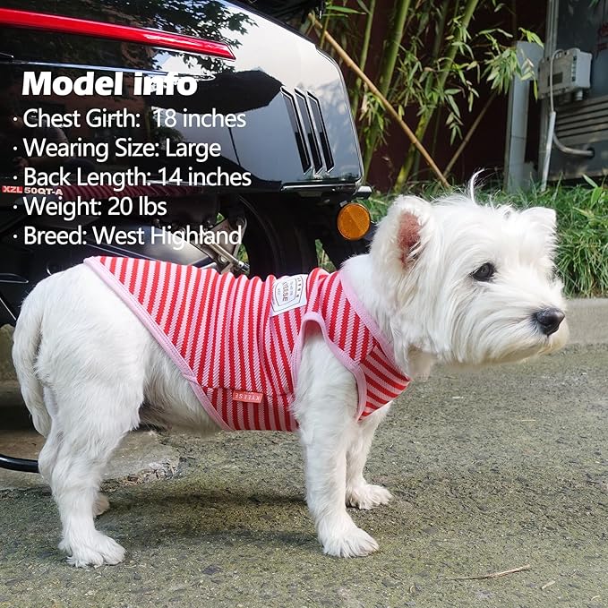 KYEESE 2Pack Dog Shirts Striped for Small Pups Soft Stretchy Pet T-Shirts Lightweight Puppy Tank Top Sleeveless Canine Vest Breathable, X-Large, Green+Pink