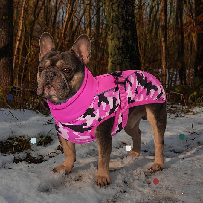 IECOii Extra Warm Dog Coat - Reflective Adjustable Jacket with Buckle & Fleece Turtleneck for Small to Extra Large Dogs