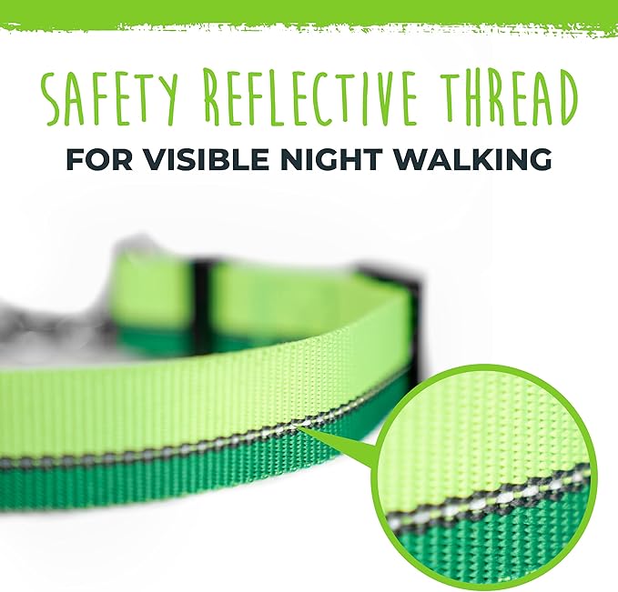 Mighty Paw Martingale Dog Collar - Gentle Correction with No More Pulling - Strong 100% Stainless Steel Chain - Weatherproof Won't Rust - Built to Last Premium Quality Nylon - Durable Plastic Buckle