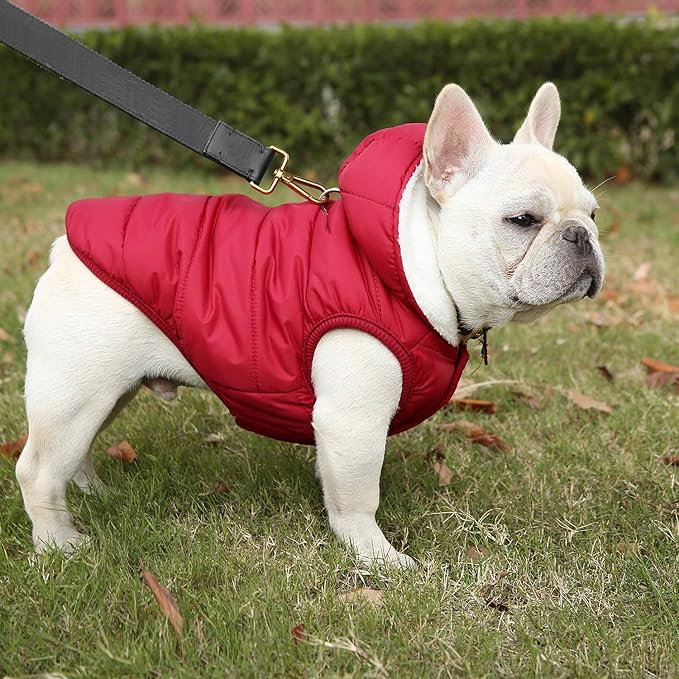 Fleece Hoodie, Windproof Waterproof Dog Coat, Winter Warm Jacket, Cold Weather Pet Apparel Clothes Vest for Small Medium Large Dogs (S, Red)