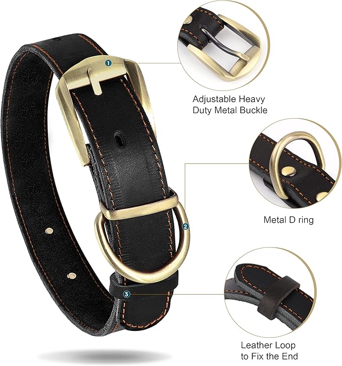 Didog Genuine Leather Dog Collars with Engraved Nameplate, Personalized Soft Leather Dog Collar with Custom ID Tag, Brown/Green/Red for Small Dogs (M,Black)