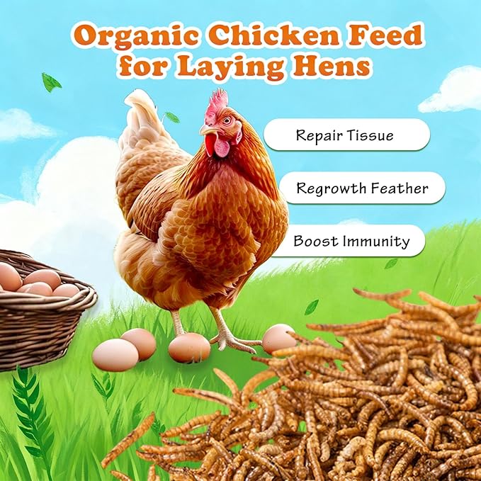 Amzey Appetizing Mealworms 5 LBS- 100% Non-GMO Dried Mealworms - Large Meal Worms - High Protein Treats- Perfect Mealworm for Chickens, Ducks, Turtles, Blue Birds, Lizards - Bag of Mealworms 5 LBS