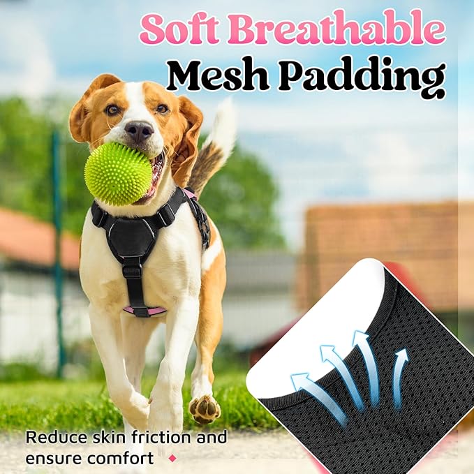 rabbitgoo Escape Proof Dog Harness Small Sized Dog, Soft Padded Full Body Pet Harness, Reflective Adjustable Vest with Lift Handle and Leash Clip for Walking Hiking Training, Light Pink, S