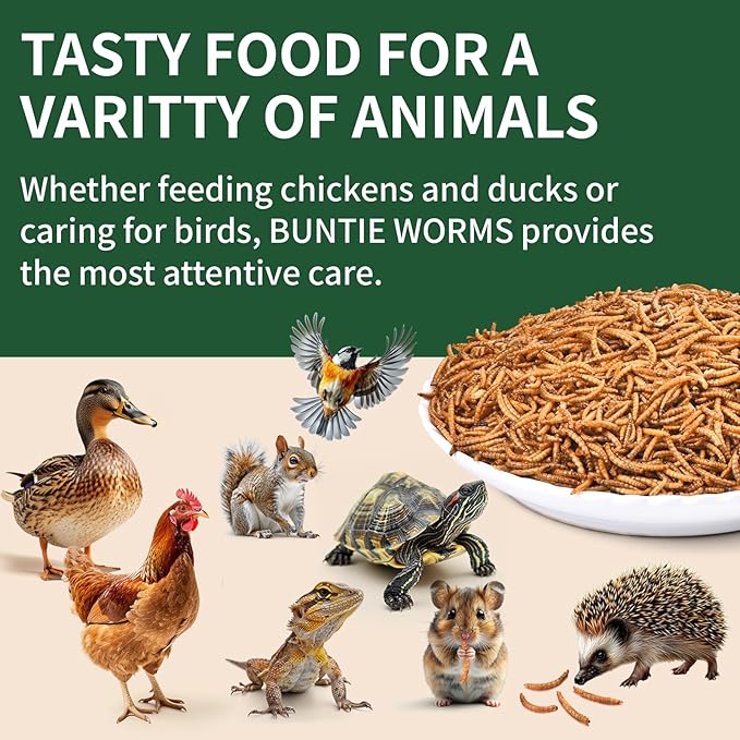 Dried Mealworms 5LB, 100% Natural, Non-GMO Mealworms for Chickens – High Protein Chicken Feed Meal Worms for Wild Birds, Chickens, Ducks and Turtles