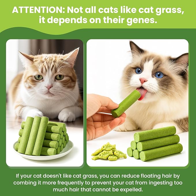 Cat Grass Sticks, 60 g Cat Grass Teething Stick and 50 g Cats Treats, Natural Dental Chews for Teeth Cleaning & Hairball Relief Teething Sticks for Indoor Cats Grain-Free