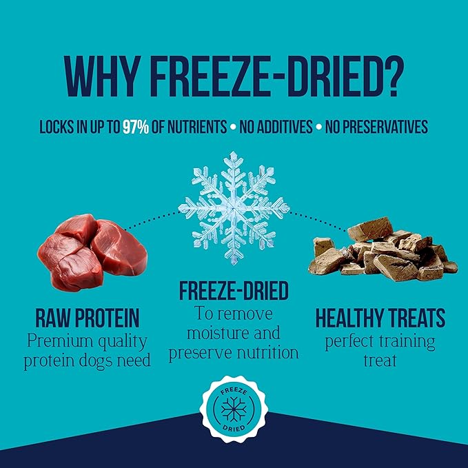 Stewart Single Ingredient Freeze Dried Raw Dog Treats, Beef Liver, 12 Ounce, Approx. 270 Pieces per Resealable Tub, Training Treats or Meal Topper, High Protein, Grain Free, Gluten Free