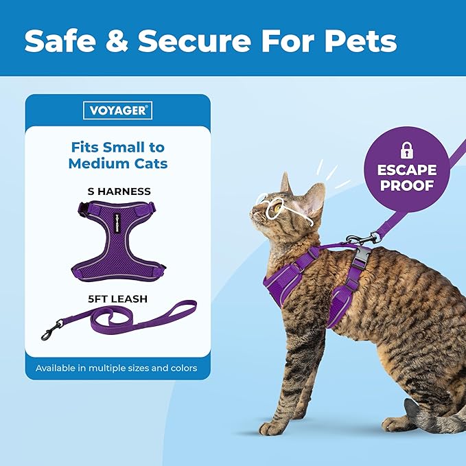 Best Pet Supplies Voyager Escape Proof Cat Harness and Leash Set with Reflective Stitching, Neoprene Handle 5ft - Supports Small, Medium and Large Cats, Kittens - Purple, M (Chest: 16.5-19.5")