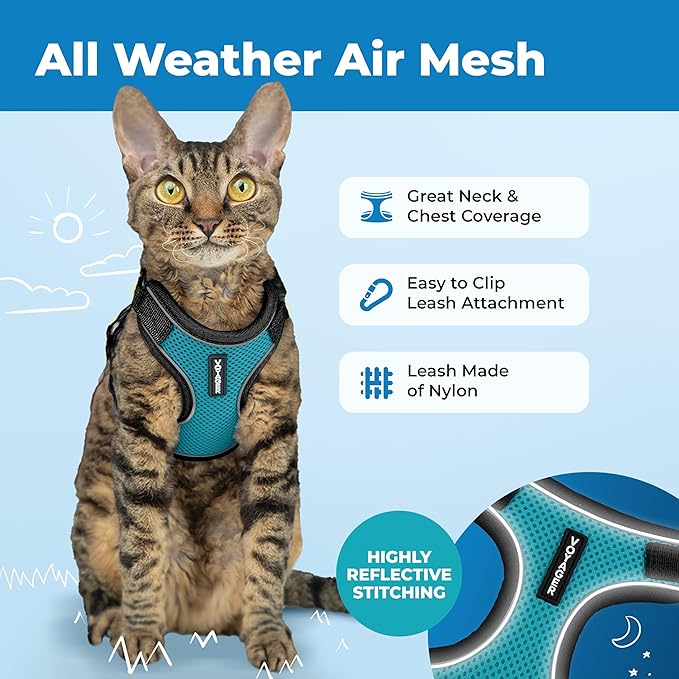 Voyager Escape Proof Cat Harness and Leash Set with Reflective Stitching, Neoprene Handle 5ft - Supports Small, Medium and Large Cats, Kittens for Walking by Best Pet Supplies - BT-Turquoise, XXXS