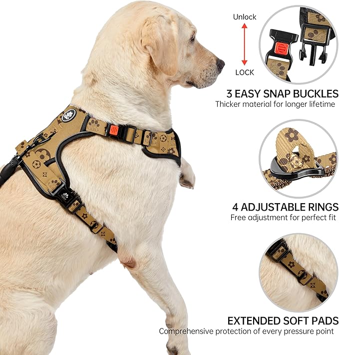 NESTROAD No Pull Dog Harness,Adjustable Oxford Dog Vest Harness with Leash,Reflective No-Choke Pet Harness with Easy Control Soft Handle for Small Dogs(Small,Light Brown)