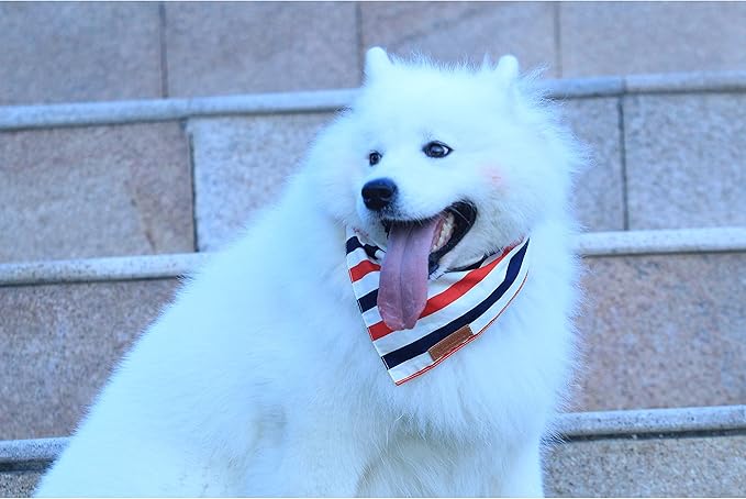 Realeaf 4th of July Dog Bandanas 2 Pack, Reversible American Flag Pet Scarf for Boy and Girl, Premium Durable Fabric, Patriotic Bandana for Small and Medium Dogs (Small)