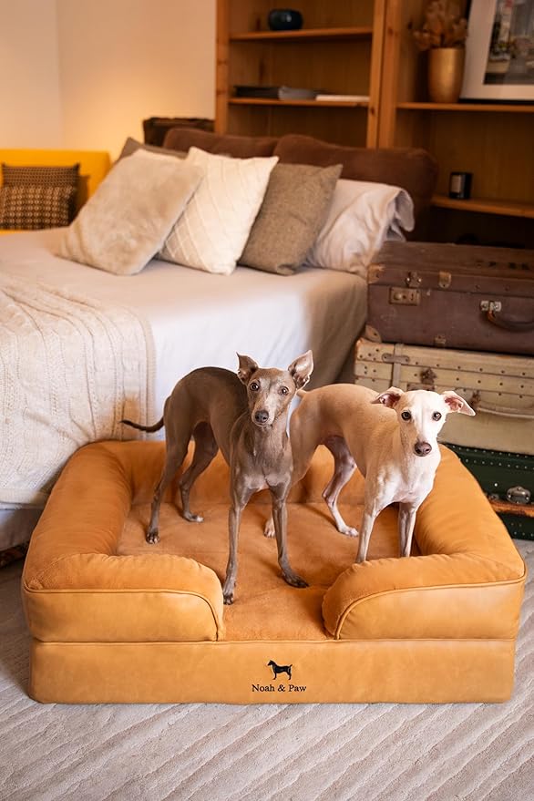 NOAH & PAW Large Dog Bed, 35x25x11 Inch, Orthopedic Dog Beds, Eggshell Memory Foam Infused with Cooling Gel, Inner Cover, Waterproof, Machine Washable (Faux Leather Sofa Collection)