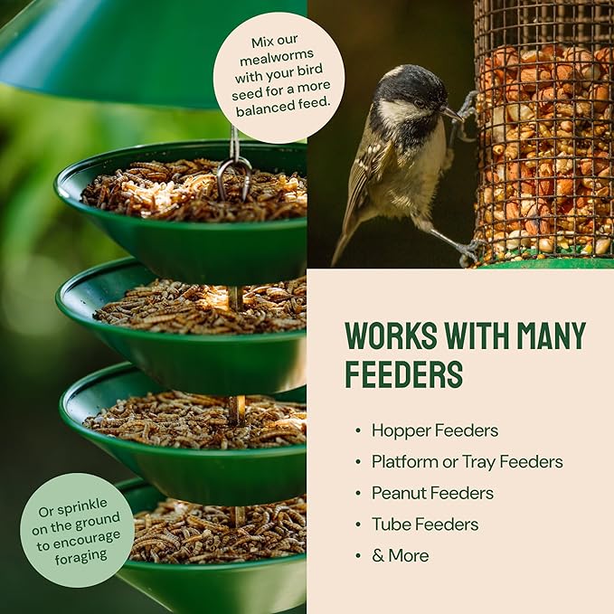 Dried Mealworms - 2 Lb Bag - High Protein Chicken Feed, Mealworms for Birds & Chickens - Meal Worms for Wild Birds & Turtles