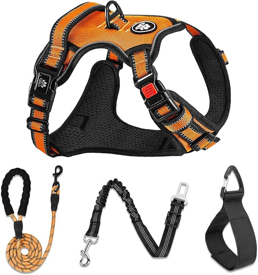 NESTROAD No Pull Dog Harness,Adjustable Oxford Dog Vest Harness with Leash,Reflective No-Choke Pet Harness with Easy Control Soft Handle for Small Dogs(Small,Orange)