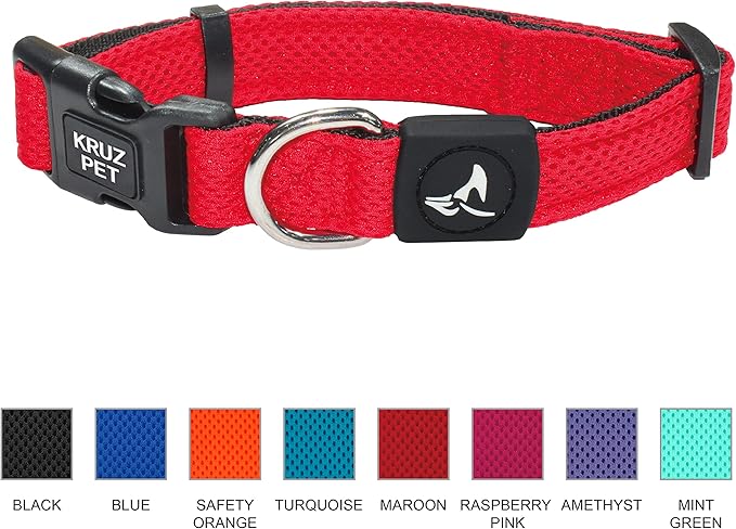 Dog Collar for Small Dogs (Width- 3/4", Neck - 10.5"-14.5") Adjustable Pet Neck Band with Comfortable Soft Padding, Lifetime Durability, Heavy-Duty O-Ring (Orange, Small)