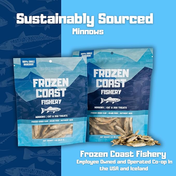 Frozen Coast Freeze-Dried Minnows Dog and Cat Treats-Single-Ingredient, All-Natural Fish, Grain-Free, High Protein Pet Treats, Sourced in The USA - 2.5 oz Bag