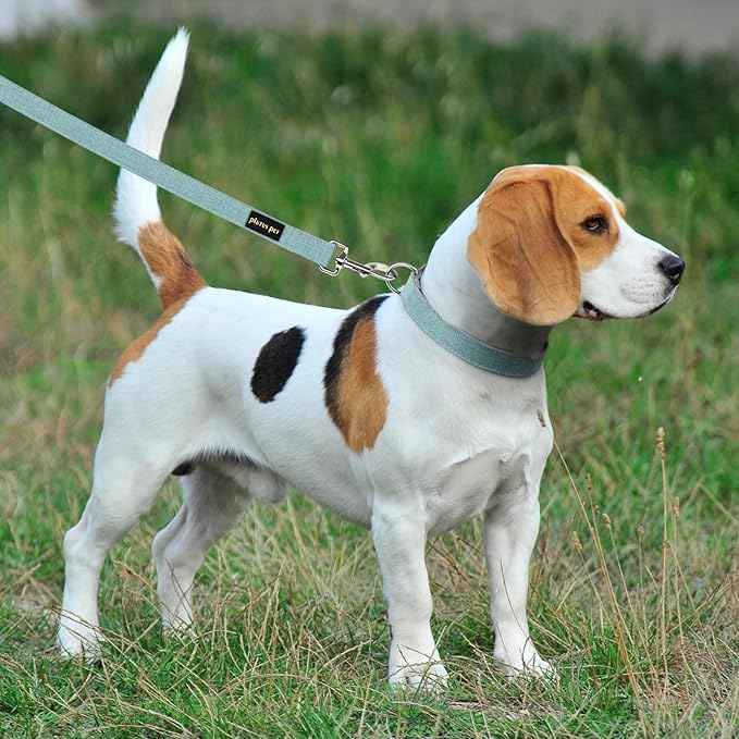 Plutus Pet Cotton Hemp Dog Collar and Leash Set, Adjustable Collar for Small, Medium, and Large Dogs, Heavy Duty and Soft on Skin, Light Blue, S