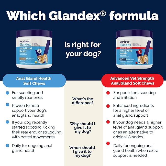Vetnique Labs Glandex Anal Gland Soft Chew Treats with Pumpkin for Dogs Digestive Enzymes, Probiotics Fiber Supplement for Dogs Boot The Scoot (Bacon/Pork Chews, 30 Count)
