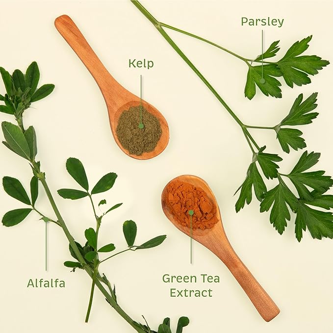 Pet Wellness Bundle - Dental & Probiotic Support for Cats and Dogs - Teeth Powder & Gut Health Capsules for Oral and Digestive Health - 165 g Powder & 90 Capsules