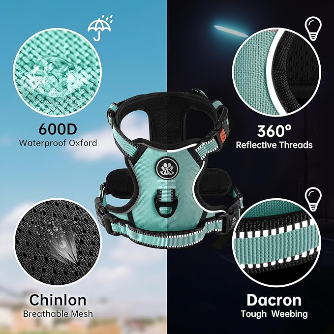 NESTROAD No Pull Dog Harness,Adjustable Oxford Dog Vest Harness with Leash,Reflective No-Choke Pet Harness with Easy Control Soft Handle for Medium Dogs(Medium,Turquoise)