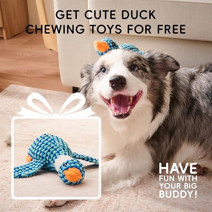 Homemate Dog Bed Large Sized Dog: 42x30 inch Orthopedic Large Dogs Bed XL Outdoor Pet Cat Bed Sofa Supplies with Toy Dogs Crate Pad Couch with Removable Washable Cover & Non-Slip Botton Light Grey