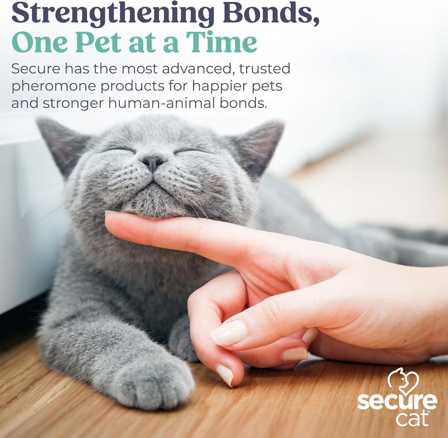 SecureCat Calming Diffuser for Supporting Calm and Well-Being to Help Relieve Any Feeling of Anxiety or Stress, Cat Pheromone Passive Stick Diffuser Home Starter Kit