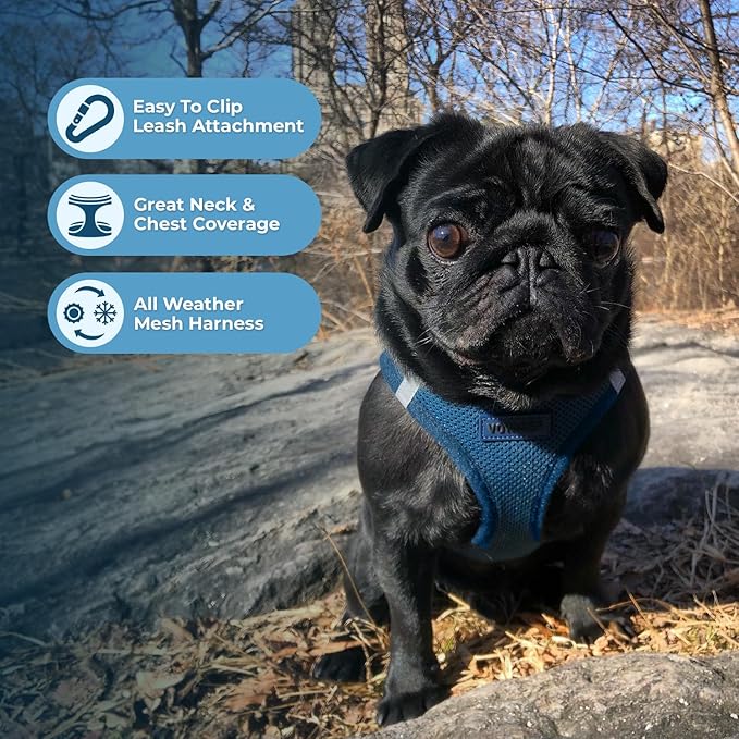 Voyager Step-in Air All Weather Mesh Harness and Reflective Dog 5 ft Leash Combo with Neoprene Handle, for Small, Medium and Large Breed Puppies by Best Pet Supplies - Harness Leash Set (Blue), M