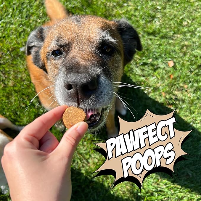 Peanut Butter Dog Biscuits, Pumpkin & Cricket Protein All Natural Dog Treats, Healthy Puppy Treats, Hypoallergenic, Gut Healthy, Sustainable Products, 2-Pack