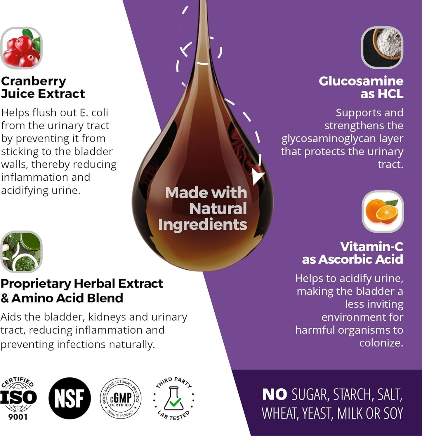 Cat & Dog Urinary Tract Treatment, Bladder & Kidney Support for Dogs and Cats, Powerful Yet Gentle Pet Care, with Liquid Cranberry & Glucosamine, Chicken Flavor, 6 oz Bottle, 1 Pack