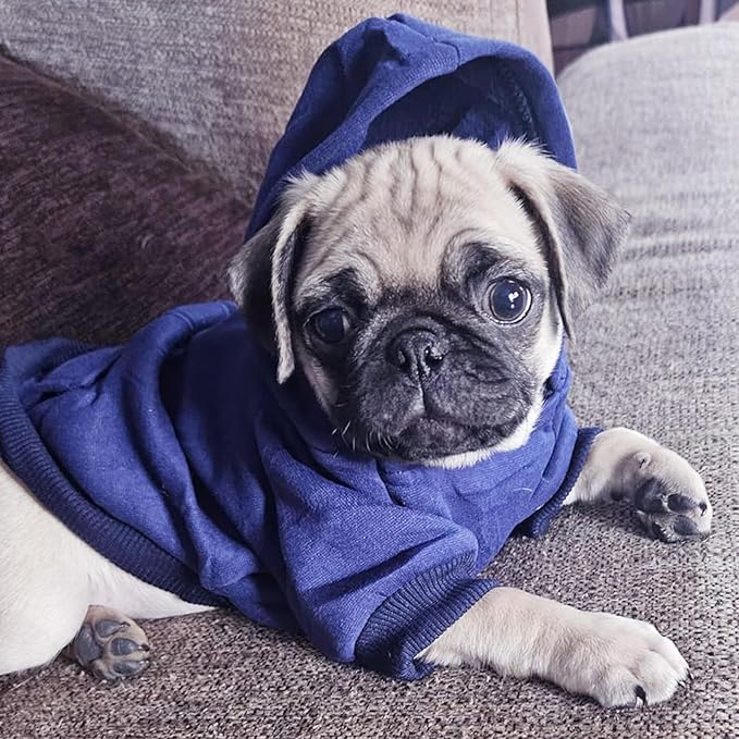 Jecikelon Winter Dog Hoodie Sweatshirts with Pockets Warm Dog Clothes for Small Dogs Chihuahua Coat Clothing Puppy Cat Custume (Navy, X-Small)