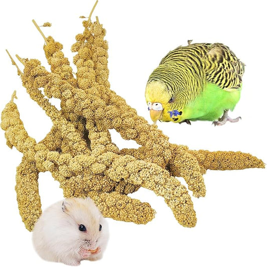 kathson Natural Sun-Dried Birds Millet Spray Millet Treat Bird Snacks for Parrots Cockatiels Lovebirds Painted Buntings and Finches Parakeets 2.2 LB