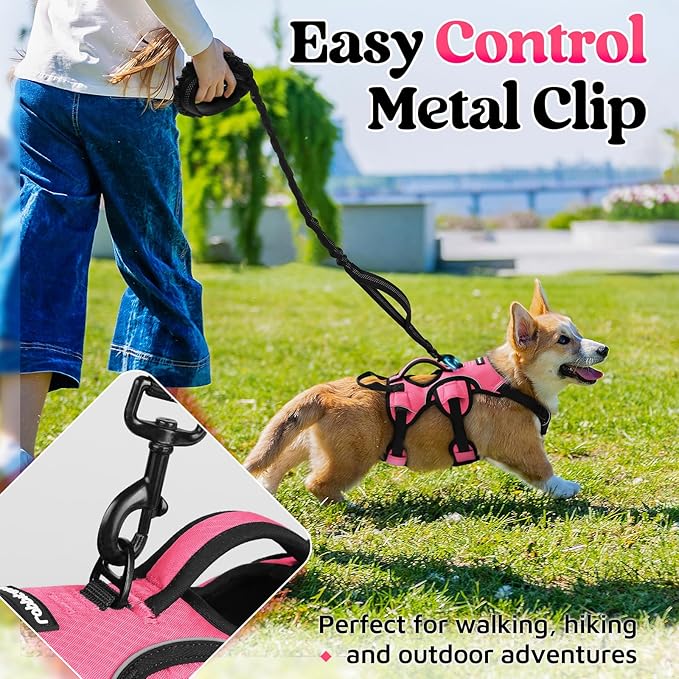 rabbitgoo Escape Proof Dog Harness, Soft Padded Full Body Pet Harness, Reflective Adjustable No Pull Vest with Lift Handle and Leash Clip for Large Dogs Walking Hiking Training, S, Pink