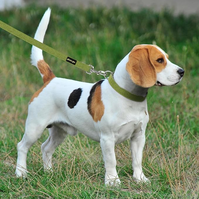 Plutus Pet Cotton Hemp Dog Collar and Leash Set, Adjustable Collar for Small, Medium, and Large Dogs, Heavy Duty and Soft on Skin, Green, XL