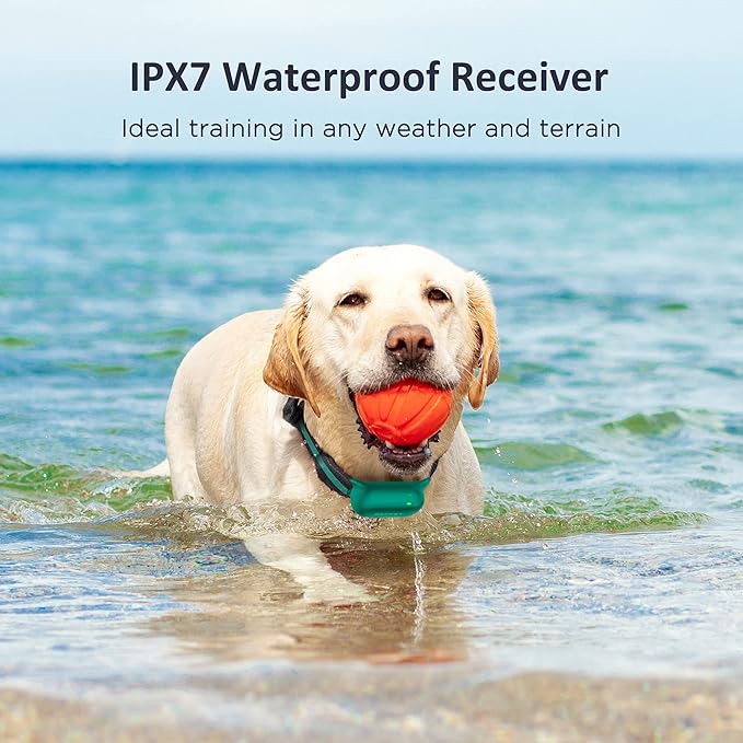 PATPET Dog Training Collar with Remote - Electric Dog Shock Collar for Small Medium Large Dogs - 3 Adjustable Safe Modes, Rechargeable Waterproof E Collar for Dogs (8-120 lbs)