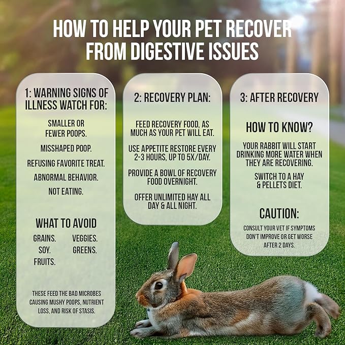 Sherwood Pet Health Rabbit Emergency kit and Bulk Recovery Food (Small kit)