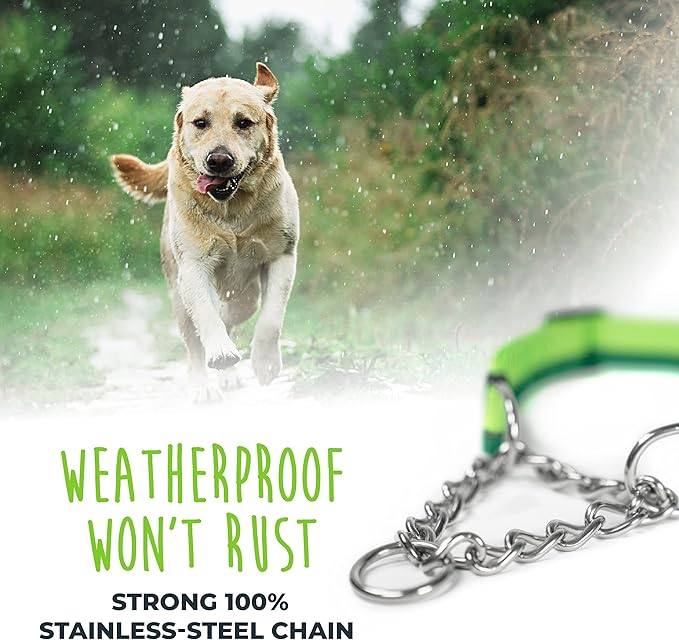 Mighty Paw Martingale Dog Collar 2.0 | Trainer Approved Limited Slip Collar with Stainless Steel Chain & Heavy Duty Buckle - Modified Cinch for Gentle & Effective Pet Training - S/M, Green