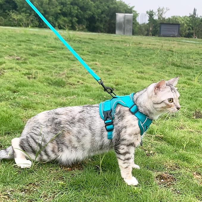 Cat Harness and Leash Set Escape Proof Tactical Large Kitten Harness Emotional Support Cat Vest, Turquoise, L