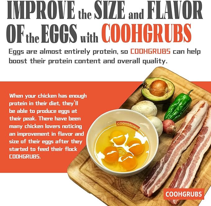 Dried Black Soldier Fly Larvae 2 lb – High Protein Chicken Feed with More Calcium Than Mealworms for Chickens, Birds, Reptiles & Small Pets