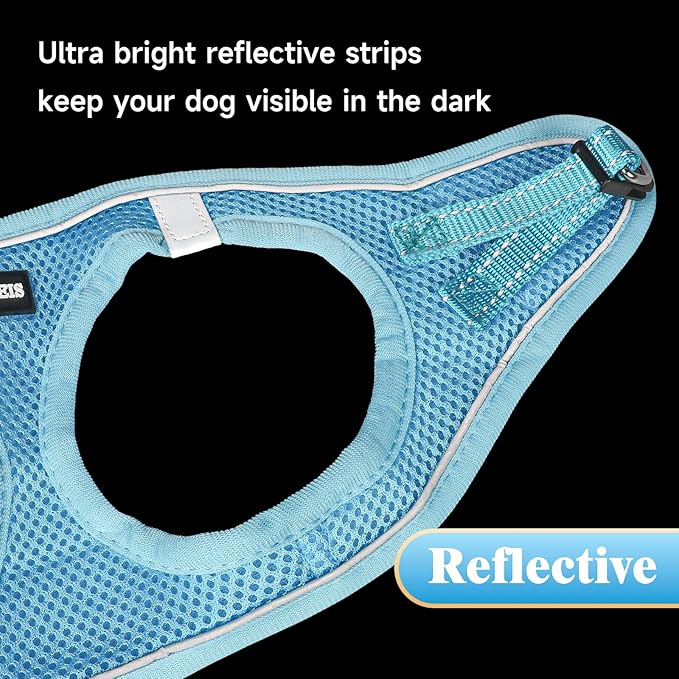 YIMEIS Dog Harness and Leash Set, No Pull Soft Mesh Pet Harness, Reflective Adjustable Puppy Vest for Small Medium Large Dogs, Cats (Sky Blue, X-Small (Pack of 1)