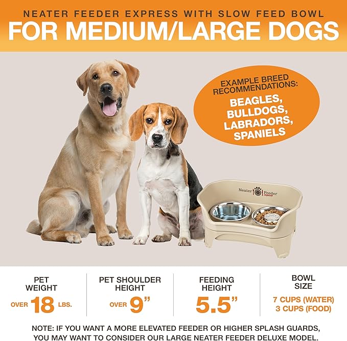Neater Feeder - Express Model w/ Slow Feed Bowl - Mess-Proof Dog Bowls (M/L, Almond) Made in USA – Elevated, No Spill, Non-Tip, Non-Slip, Raised Stainless Steel Food/Water Pet Bowls Aid Digestion