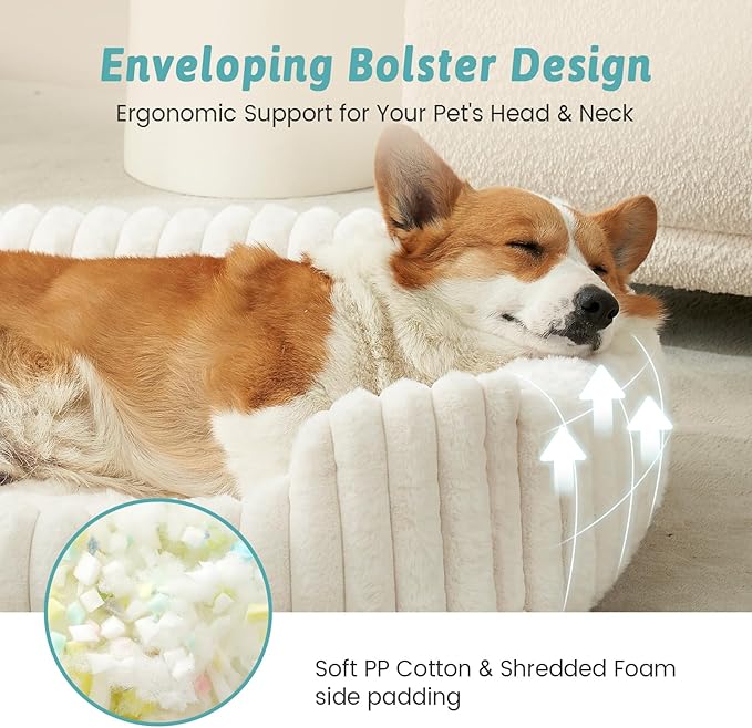 Cute Pet Bed for Small Dogs & Cats - Washable Rectangle Dog Bed with Anti-Slip Bottom, Soft Calming Cat & Puppy Bed for Indoor Pets (30"x23"x7", Cream)