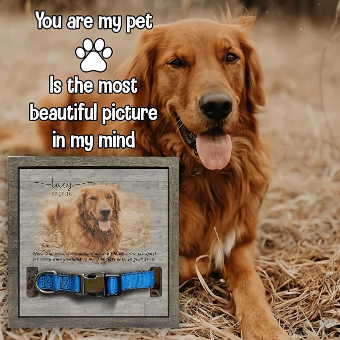 Personalized Dog Collar Frame Memorial Pet Loss Sign for Dog Lovers Collar Keepsake Picture Frame Remembrance Dogs Best Gifts With Heartfelt Sentimental Quote For Someone Who Lost A Pet Cats