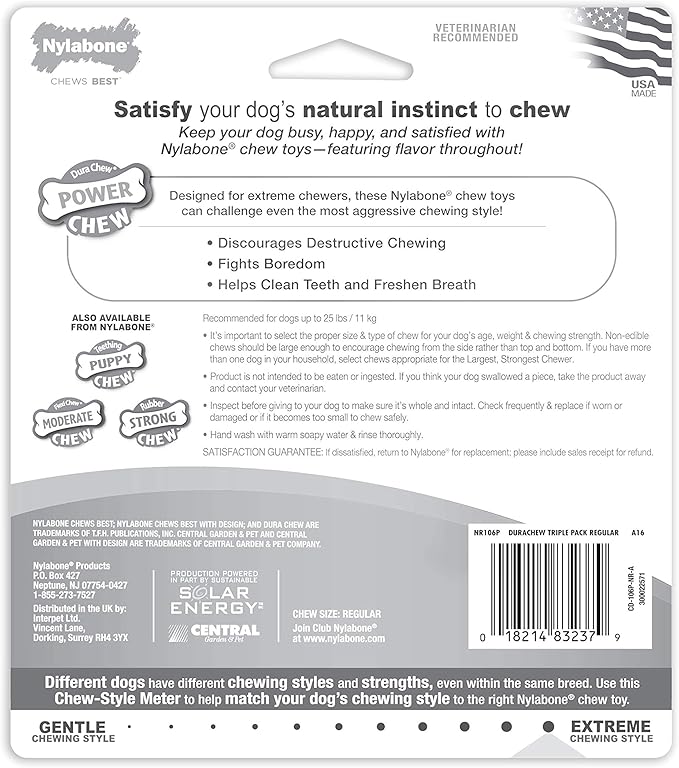 Nylabone Original Bone Power Chew Toy for Dogs, Durable Dog Toys for Aggressive Chewers, Peanut Butter Flavor, Small - Up to 25 Ibs, 3 Pack