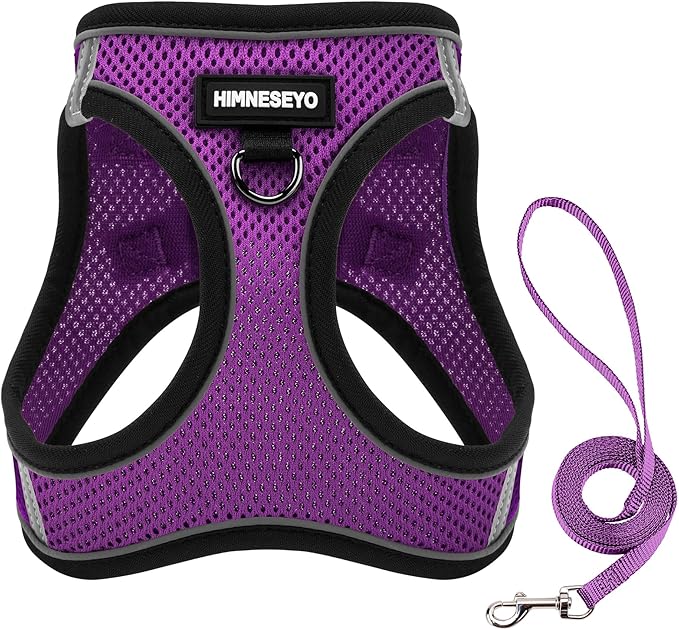 Dog Harness and Leash Set, Dog Harness for Dogs No Pull, No-Chock Step-in Reflective Breathable Lightweight Easy Walk Vest Harnesses with Safety Buckle for Small Medium Dogs, Cats (Purple, XL)