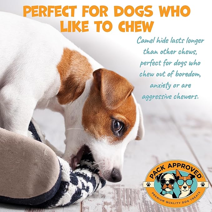 Camel Skin Dog Chews for Aggressive Chewers - Hypoallergenic Natural Collagen Sticks for Dental Health & Protein Boost - Long Lasting Treats for Small & Medium Dogs